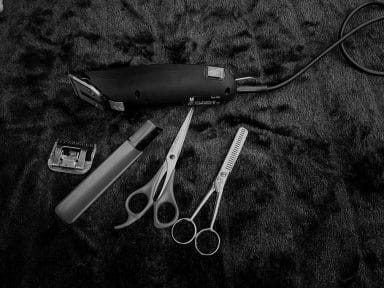 Cat Trimmers for Long Hair Cats