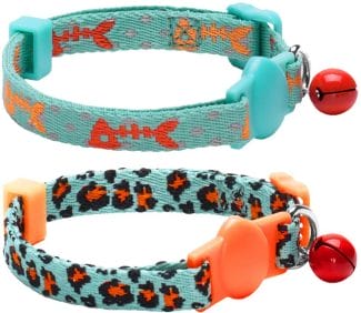 best collar for cats who hate collars
