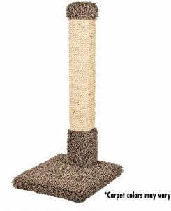 best scratching post for kittens